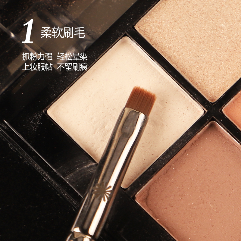 Piccasso grijze make-upborstel - Beauty Makeup Background recensie en prijs